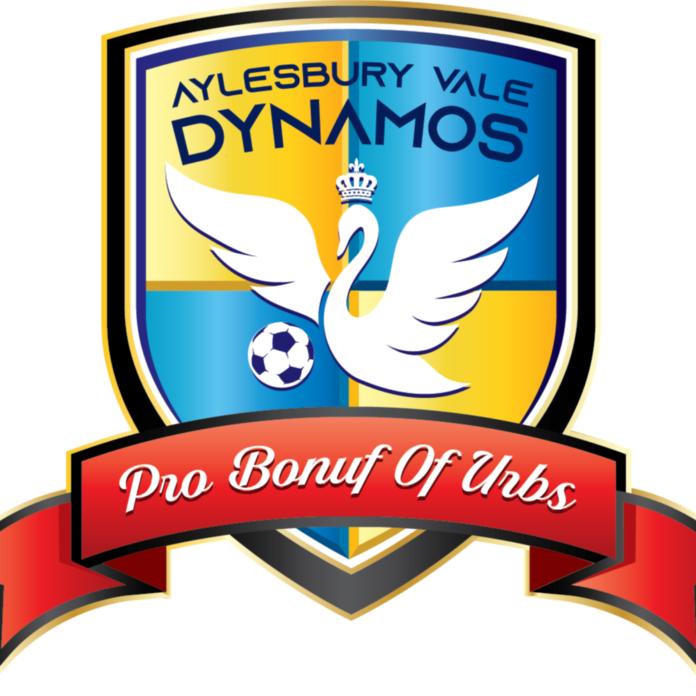Aylesbury Vale Dynamos FC badge